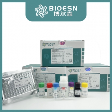TUNEL细胞凋亡检测试剂盒（FITC标记绿色荧光）通用型  BES-BK2804B