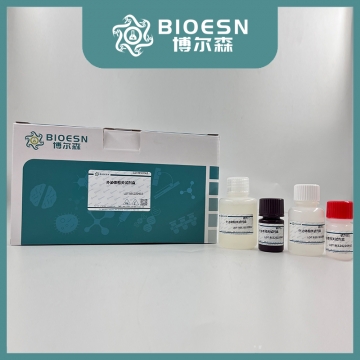 外泌体（Exosomes）提取试剂盒-快速-体液4ml/T  BES2027EXO