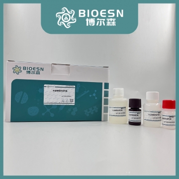 外泌体(exosomes)吸附抑制剂  BES2035EXO